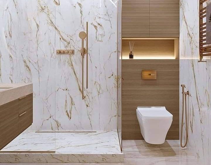 Toilet Cleaning & Disinfection